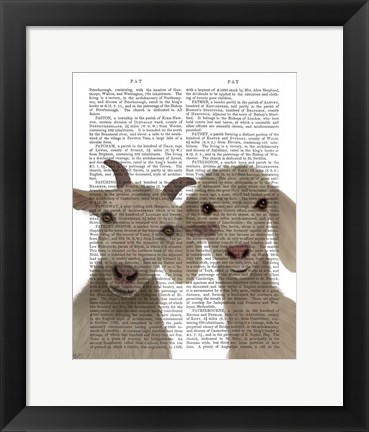 Framed Goat Duo, Looking at You Book Print Print