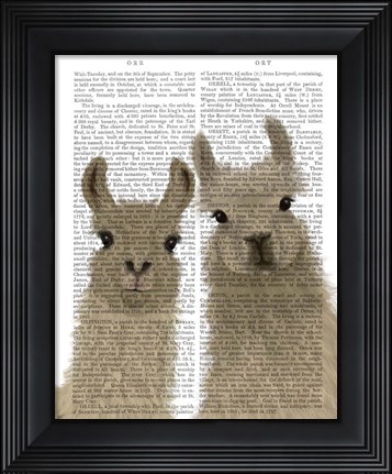 Framed Llama Duo, Looking at You Book Print Print