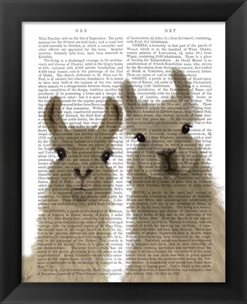 Framed Llama Duo, Looking at You Book Print Print