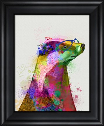 Framed Badger Rainbow Splash 2 Print