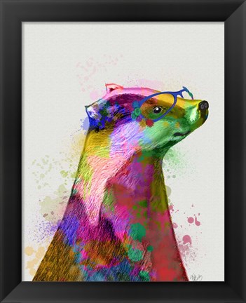 Framed Badger Rainbow Splash 2 Print