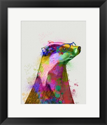 Framed Badger Rainbow Splash 2 Print