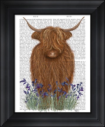 Framed Highland Cow, Bluebell Book Print Print