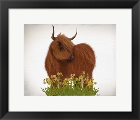 Framed Highland Cow, Daffodil Print