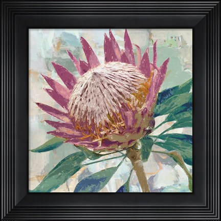Framed Protea King Print