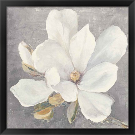 Framed Serene Magnolia Light Gray Print