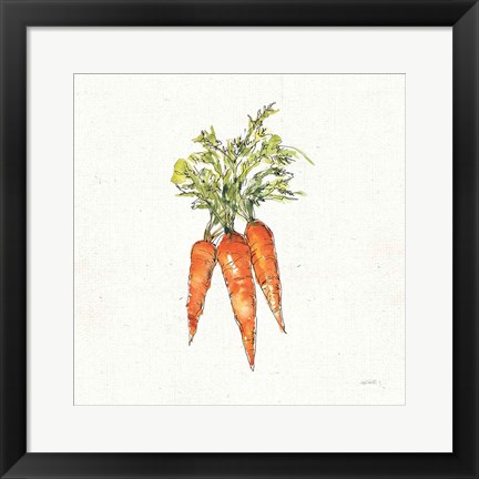 Framed Veggie Market V Carrots Print