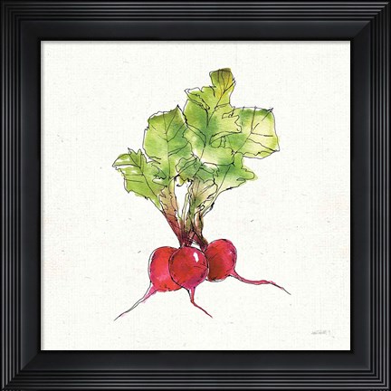 Framed Veggie Market II Radish Print