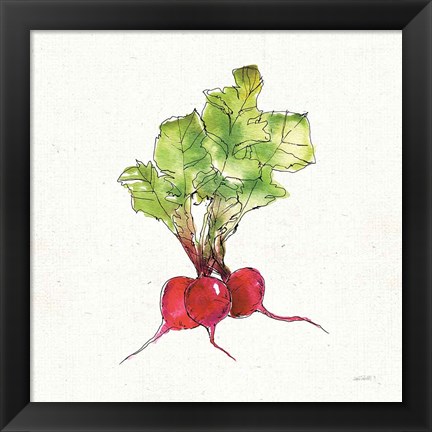 Framed Veggie Market II Radish Print