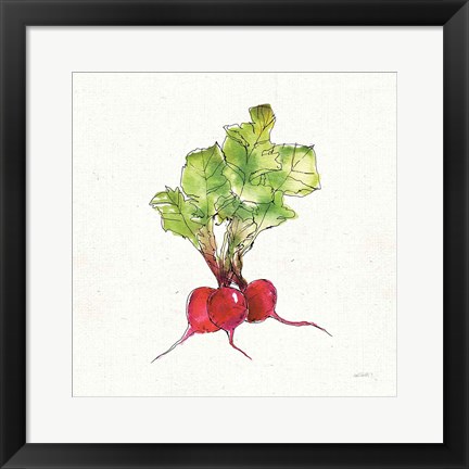 Framed Veggie Market II Radish Print