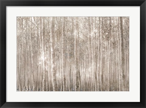 Framed Birch Trees Print