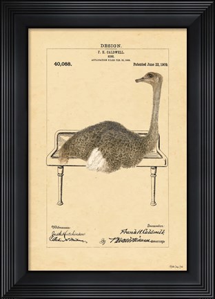 Framed Ostrich in Sink Print