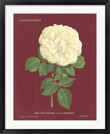 Framed Yellow Rose Pomegranate Print