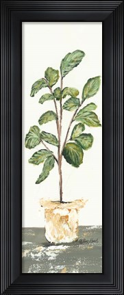 Framed Fig Tree Print