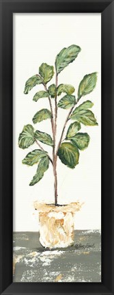 Framed Fig Tree Print