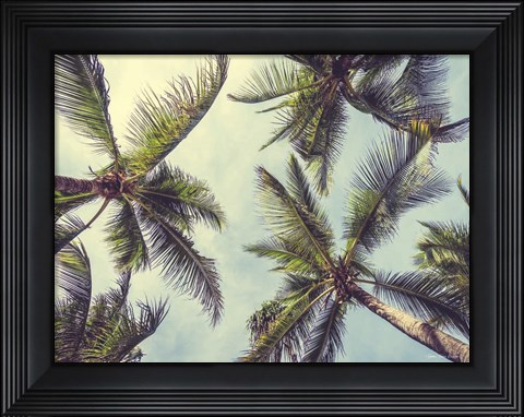 Framed Palms in the Sky Print