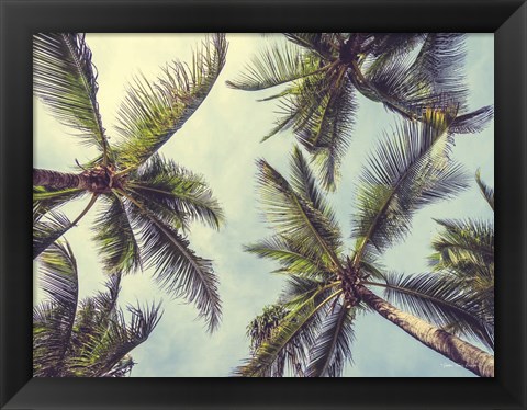 Framed Palms in the Sky Print