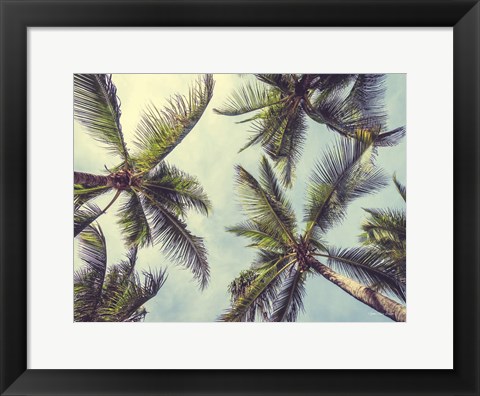 Framed Palms in the Sky Print