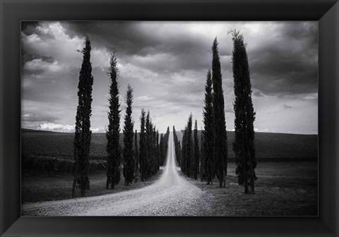 Framed Travelling in Tuscany Print