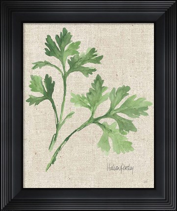 Framed Italian Parsley v2 on Burlap Print