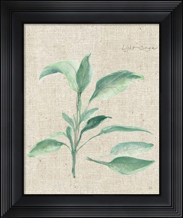 Framed Sage II on Burlap Print