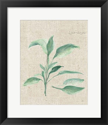 Framed Sage II on Burlap Print
