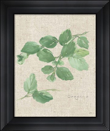 Framed Oregano on Burlap Print