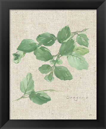 Framed Oregano on Burlap Print