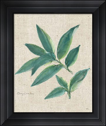 Framed Bay Leaf on Burlap Print