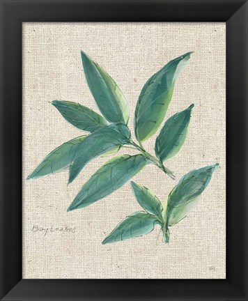 Framed Bay Leaf on Burlap Print