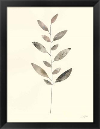 Framed Natural Wonder VI Print
