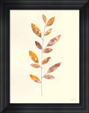Framed Natural Wonder V Print