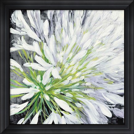 Framed Cleome Splash II Black Print