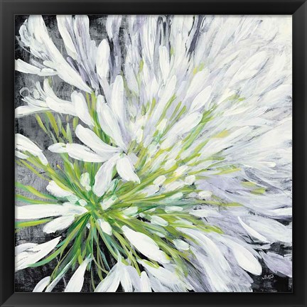 Framed Cleome Splash II Black Print