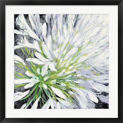 Framed Cleome Splash II Black Print