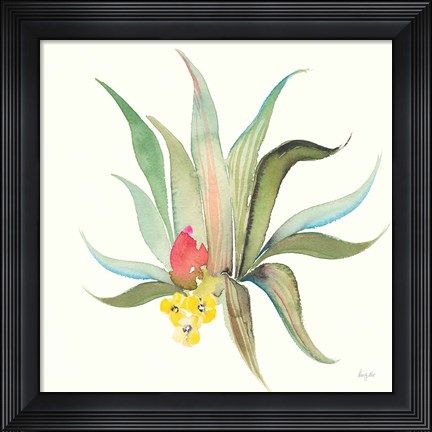 Framed Succulent Desert V Print