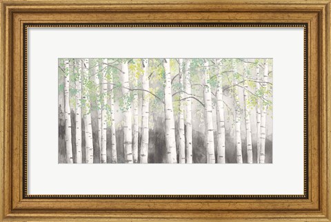 Framed Soft Birches Charcoal Print