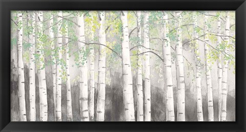 Framed Soft Birches Charcoal Print