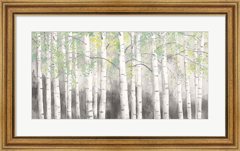 Framed Soft Birches Charcoal Print
