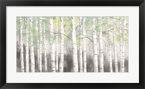 Framed Soft Birches Charcoal Print