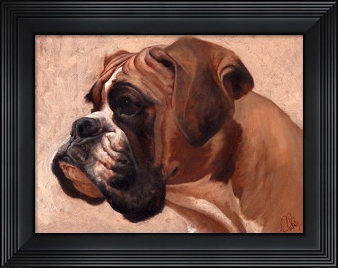 Framed Boxer Print
