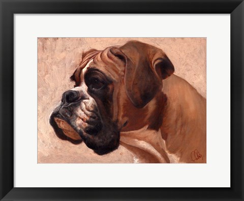 Framed Boxer Print