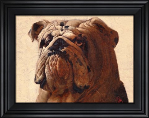 Framed Bulldog Print
