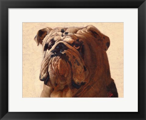 Framed Bulldog Print