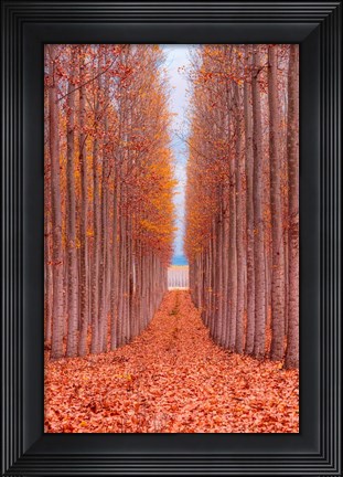 Framed Tree Farm Print