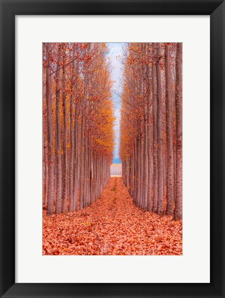 Framed Tree Farm Print