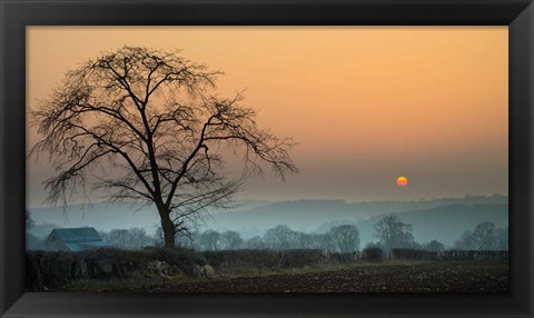 Framed Morning Sun Print