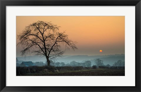 Framed Morning Sun Print