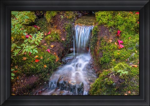 Framed Tranquility Falls Print
