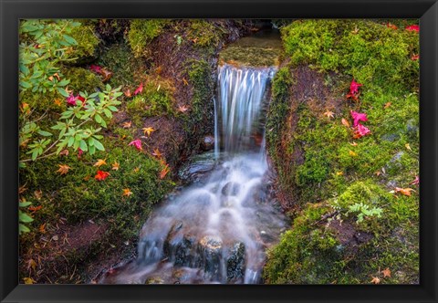 Framed Tranquility Falls Print